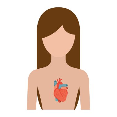 renkli siluet yarım vücut kadın kişi kalp sistemi ile