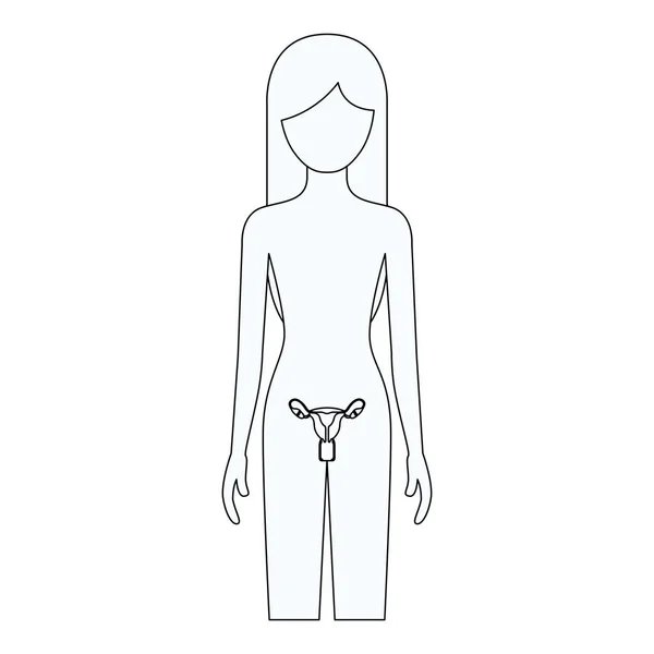 La silueta de una mujer con un cuerpo humano en el sistema del corazón. La  silueta de una mujer con un sistema de corazón | CanStock