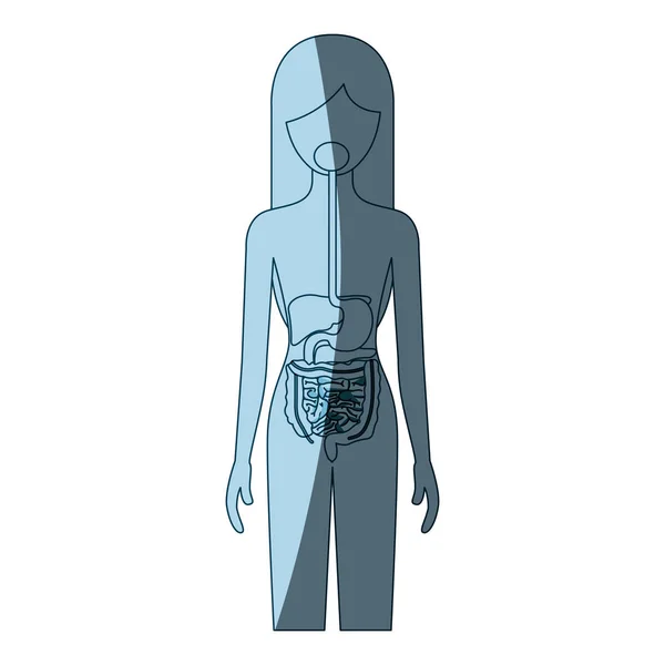 Silueta de sombreado de color azul persona femenina con el sistema digestivo cuerpo humano — Vector de stock