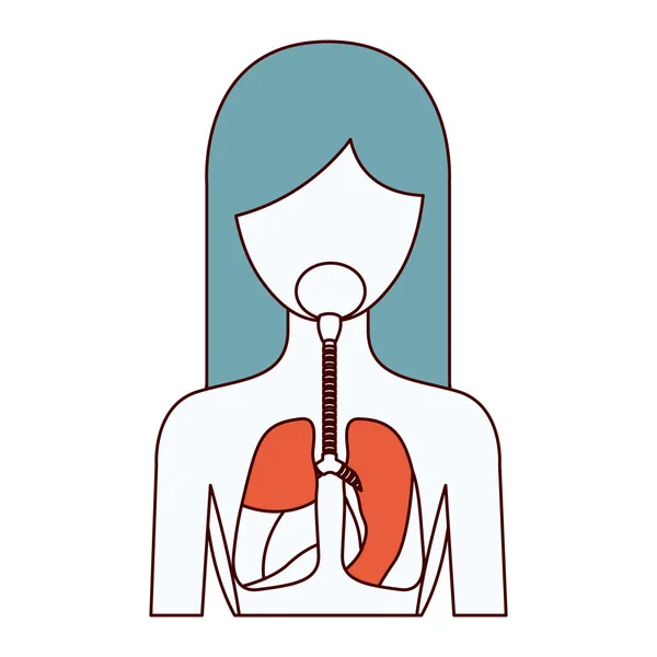 Color secciones silueta medio cuerpo mujer persona con sistema respiratorio — Archivo Imágenes Vectoriales