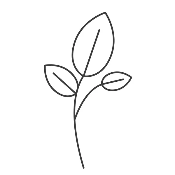 Silhueta monocromática de ramo e folhas — Vetor de Stock