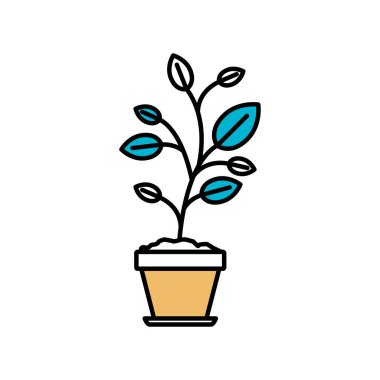 renk bölümleri bitki çiçek tencerede silüeti