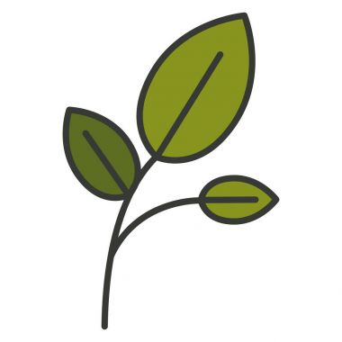 dal ve yaprak portre renkli siluet