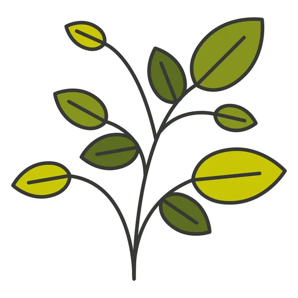 Kolorowe sylwetka roślin z gałęzi i liści z cienkich konturów — Wektor stockowy