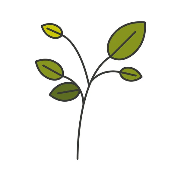 Bunte Silhouette von Zweigen mit Blättern — Stockvektor