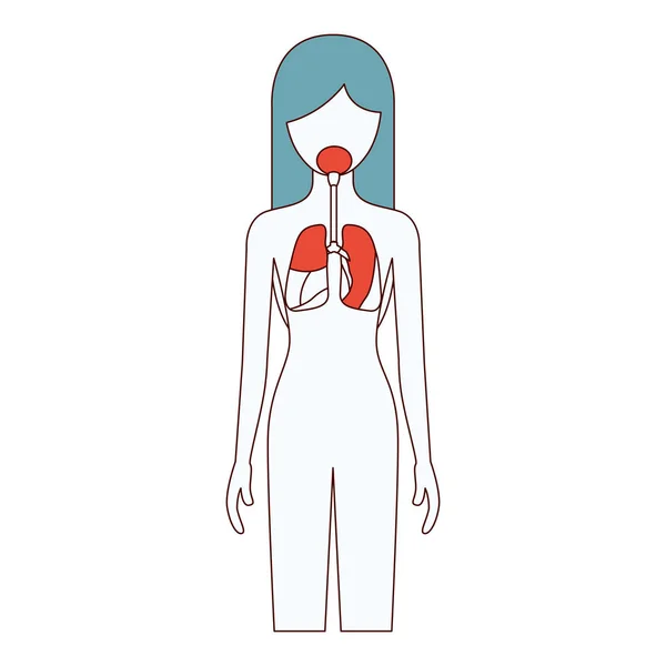 Solunum sistemi insan vücudu ile kadın kişi renk bölümleri siluet — Stok Vektör