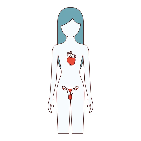 Τμήματα χρώματος σιλουέτα θηλυκό πρόσωπο με το κυκλοφορικό και το αναπαραγωγικό σύστημα του ανθρώπινου σώματος — Διανυσματικό Αρχείο