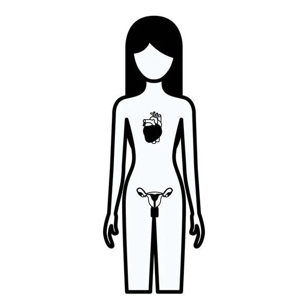 Black silhouette thick contour of female person with circulatory and reproductive system of human body — Stock Vector