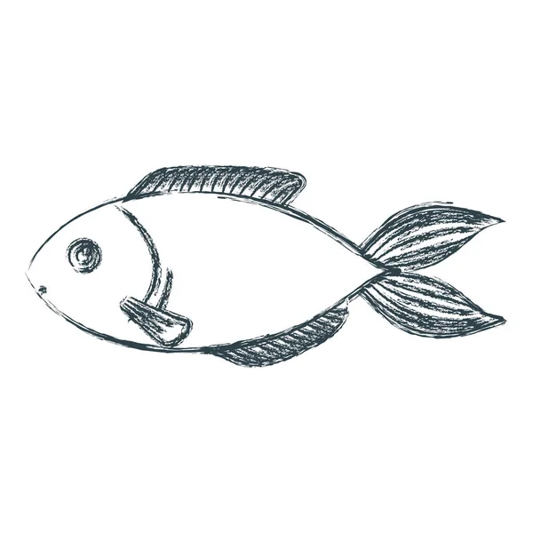 Suddig skiss silhuetten av öring fisk — Stock vektor