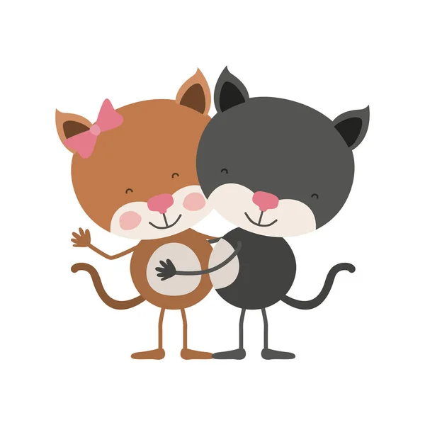 Färgglada karikatyr med par kattungar omfamnade — Stock vektor