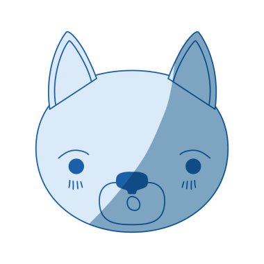 kedi sevimli yüzü siluet gölge mavi rengi ifade şaşırttı