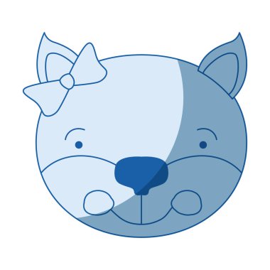 dişi yavru kedi hayvan mutluluk ifadesi yay dantel ile çehresini siluet gölge mavi rengi