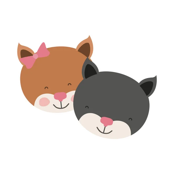 Bunte Karikaturen Gesichter von Kätzchen Paar tierischen Glücksausdruck — Stockvektor