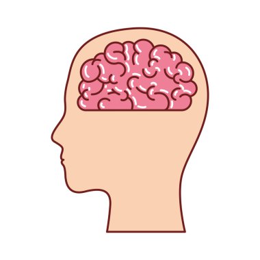 insan yüzü siluet içinde beyinde kahverengi kontur ile renkli siluet ile