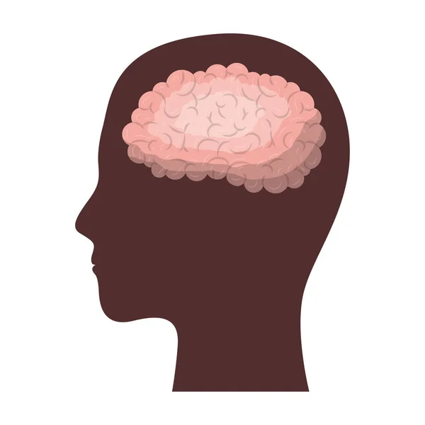Volto umano silhouette marrone con cervello all'interno in silhouette colorata — Vettoriale Stock