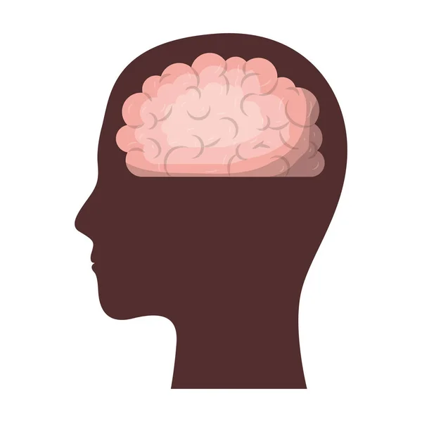 Silueta marrón cara humana con el cerebro en el interior en silueta colorida — Vector de stock