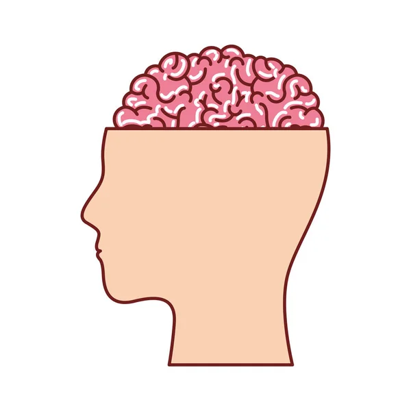 Silueta de la cara humana con el cerebro expuesto en silueta de colores con contorno marrón — Vector de stock