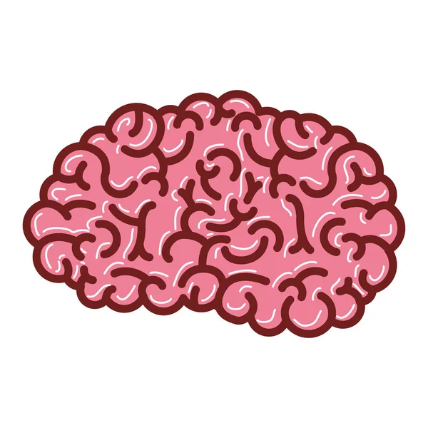 Brain side view in colorful silhouette with thick brown contour — Stock Vector