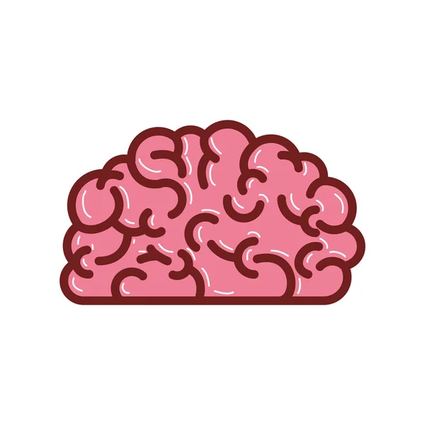 Vista lateral del cerebro en silueta colorida con contorno marrón grueso — Vector de stock