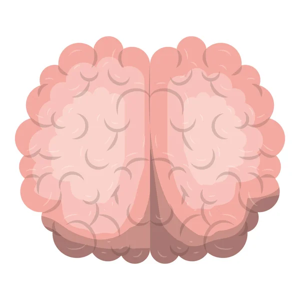 Brain top view in realistic colorful silhouette — Stock Vector