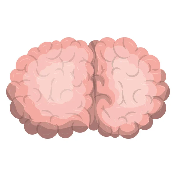 Zijaanzicht van de hersenen in realistische kleurrijke silhouet — Stockvector