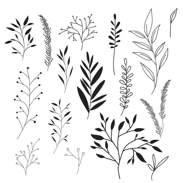 bitki set vintage simgeler yapraklar