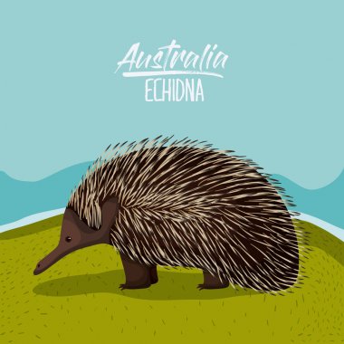 Avustralya dikenli karıncayiyen poster renkli siluet açık sahne