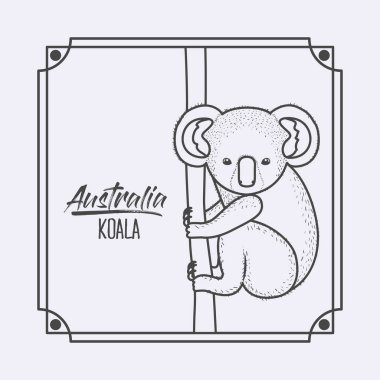 Avustralya koala içinde çerçeve ve tek renkli siluet