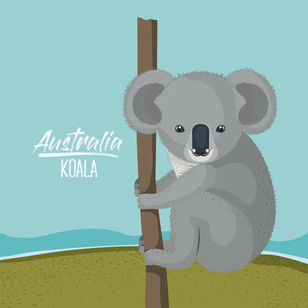 Australia koala poster con scena all'aperto in silhouette colorata — Vettoriale Stock