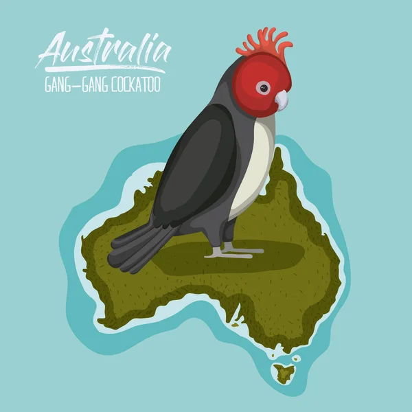 Affiche gang-gang cacatoès en Australie carte en vert entouré par l'océan — Image vectorielle