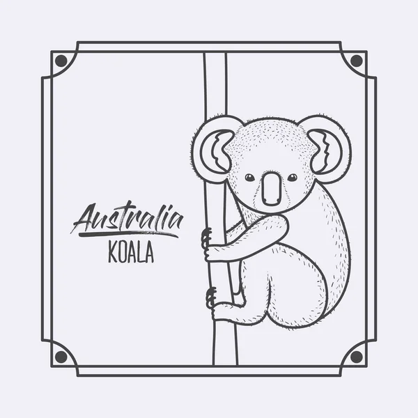 澳大利亚考拉在框架和单色剪影 — 图库矢量图片