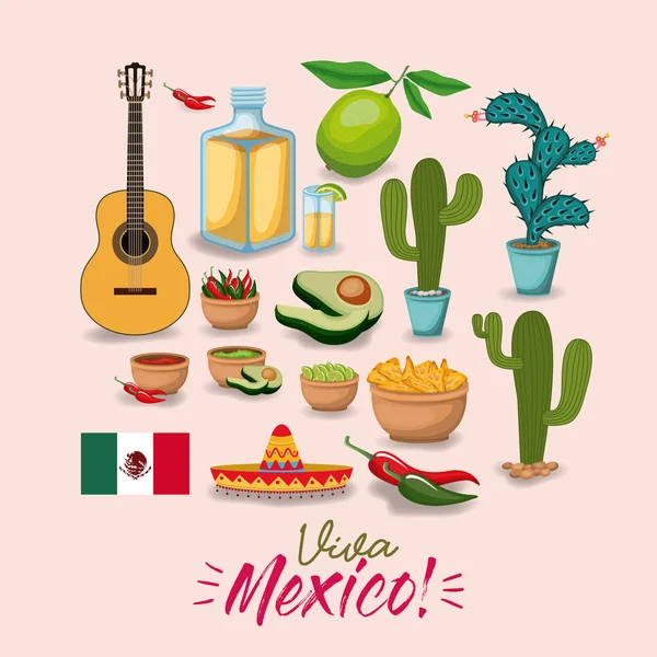 Viva Meksyk kolorowy plakat z tradycyjnymi elementami meksykańskiej — Wektor stockowy