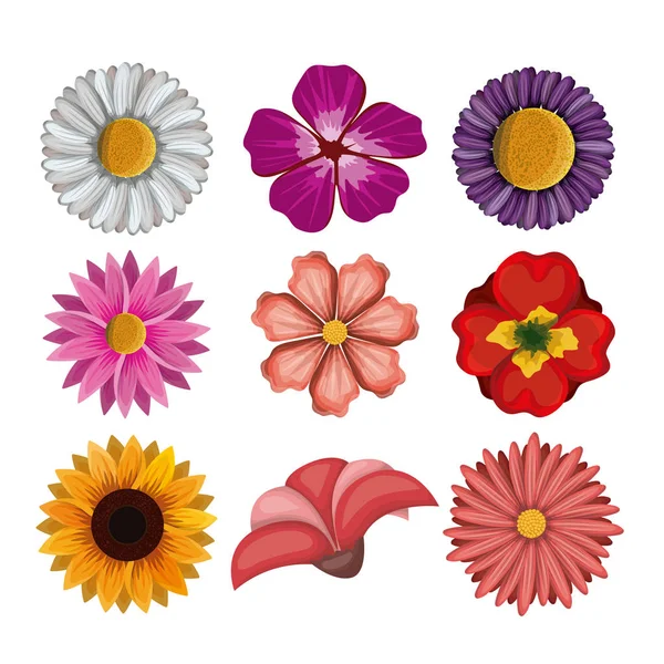 Colorful flowers set in white background — Stock Vector
