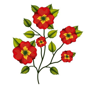 Beyaz arka planda homo çiçek bitki