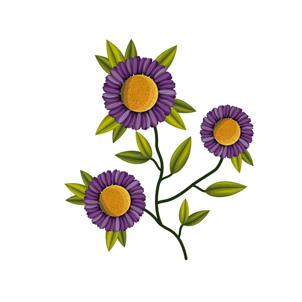 Fioletowy stokrotka kwiat roślin w tle — Wektor stockowy