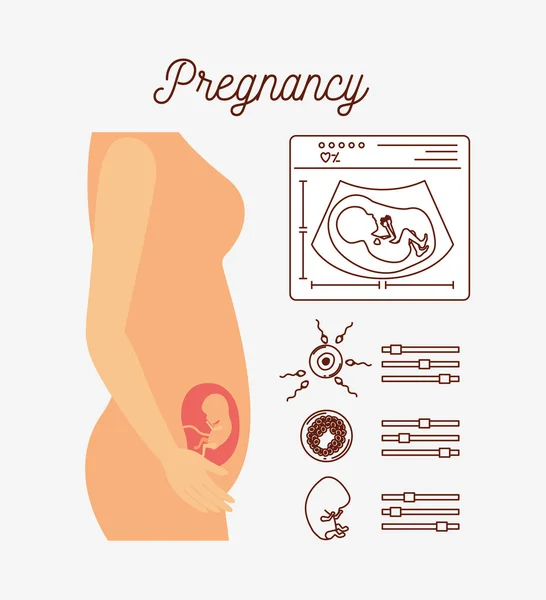 Fondo blanco con proceso de embarazo silueta de color en el cuerpo femenino — Vector de stock