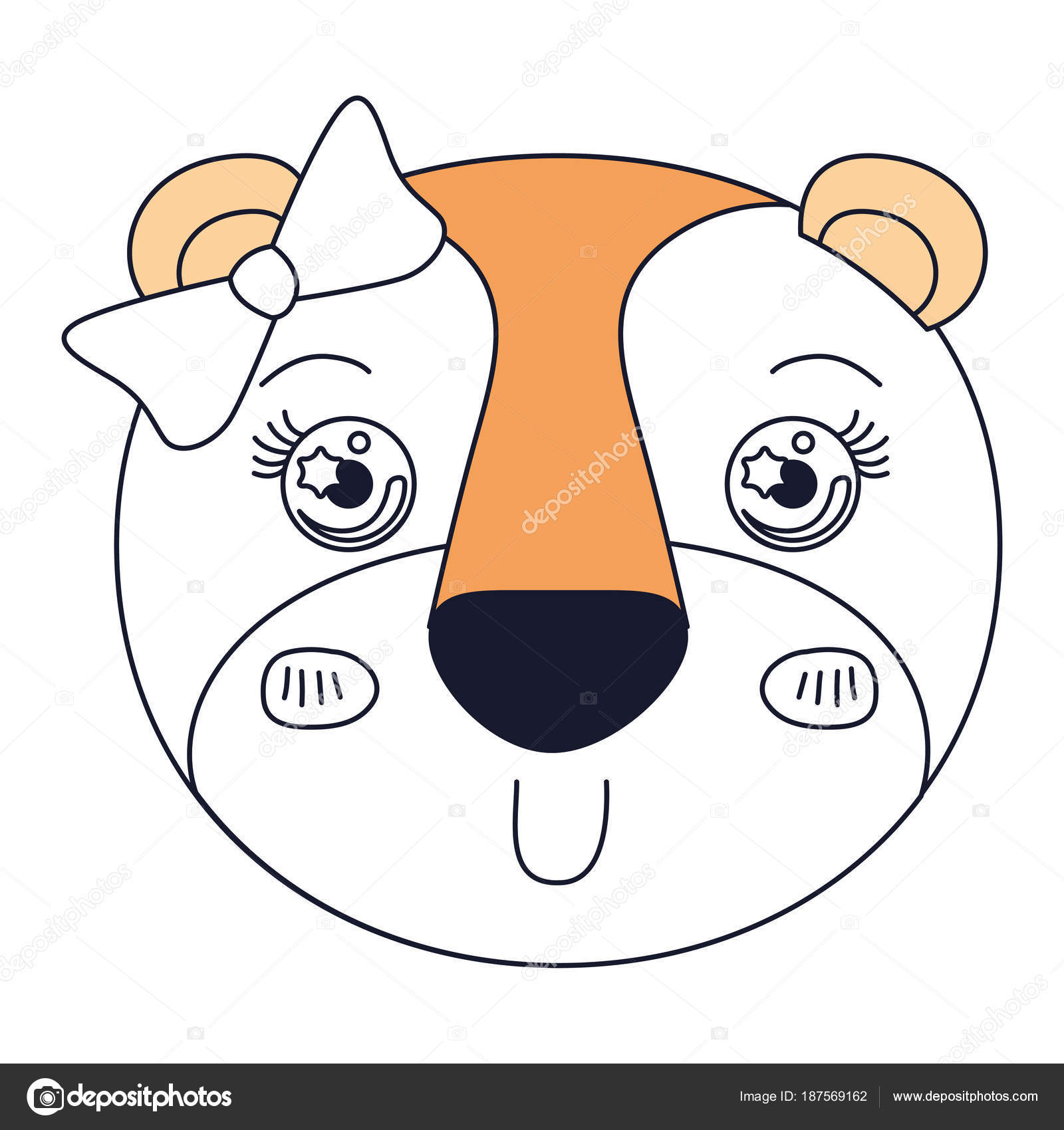 hayvanın bölümleri