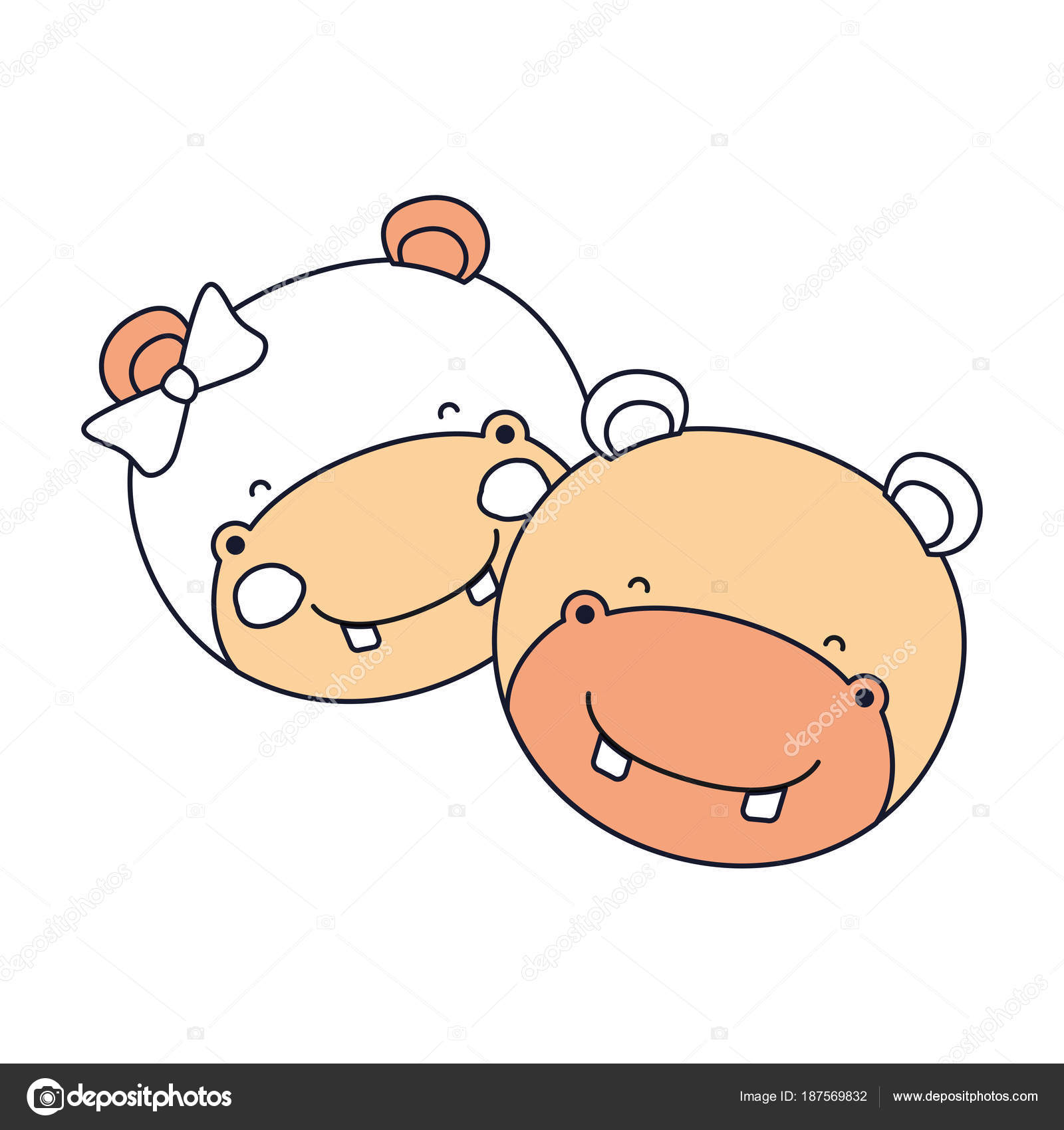 hayvanın bölümleri