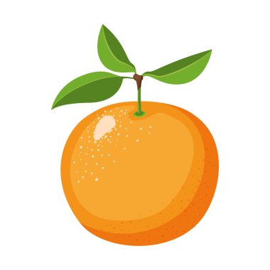 Beyaz arka plan ile gerçekçi turuncu meyve