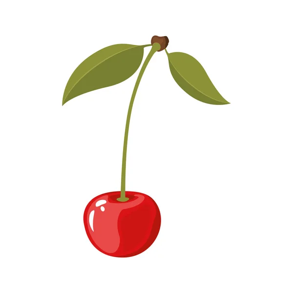 White background of realistic cherry with stem and leaves — Stock Vector