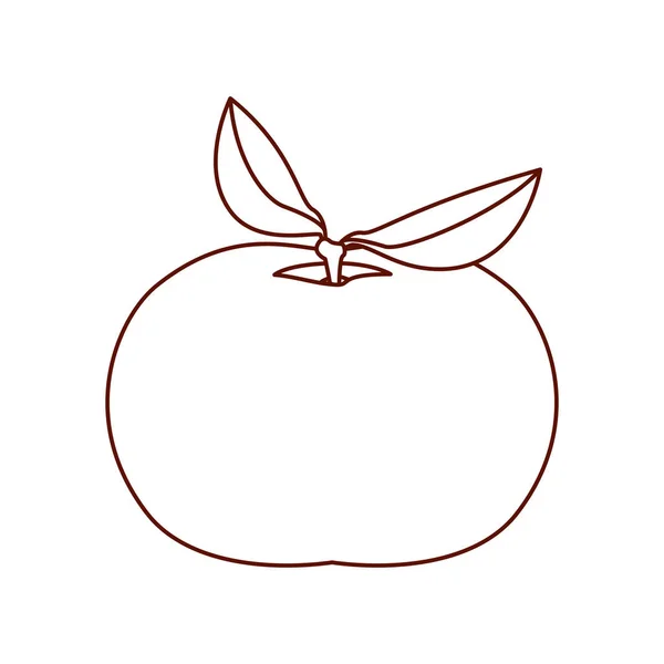 Monochromatyczne sylwetka owoców mandarynki — Wektor stockowy