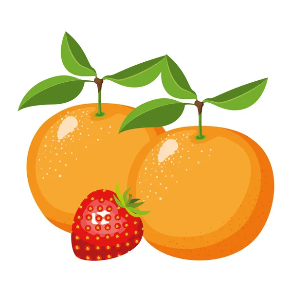 Fond blanc avec ensemble réaliste de fruits orange et fraise — Image vectorielle