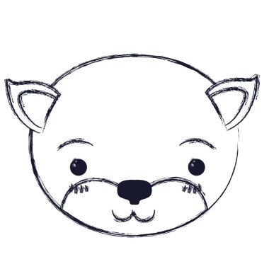 yavru kedi huzur ifade siluet sevimli yüzü bulanık