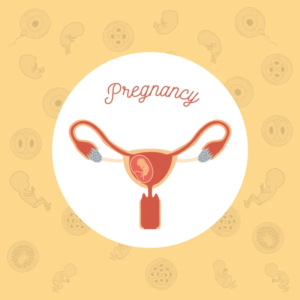 Yellow color background pattern pregnancy icons with fetus human growth in placenta a few weeks in female reproductive organ — Stock Vector