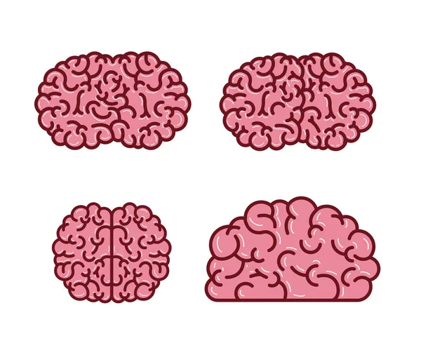Gehirn Silhouetten mehrere Ansichten in rosa Farbe — Stockvektor