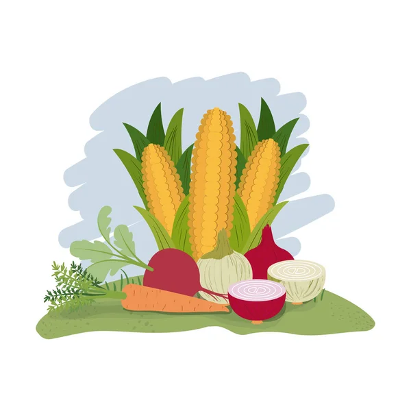 Barevné grafika se sadou zeleniny — Stockový vektor