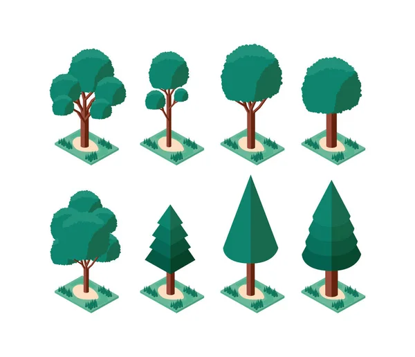 Beállítása fák növények mini izometrikus ikonok — Stock Vector