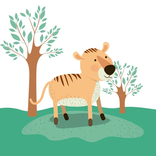 Tiger animal caricature in forest landscape background — Stock Vector