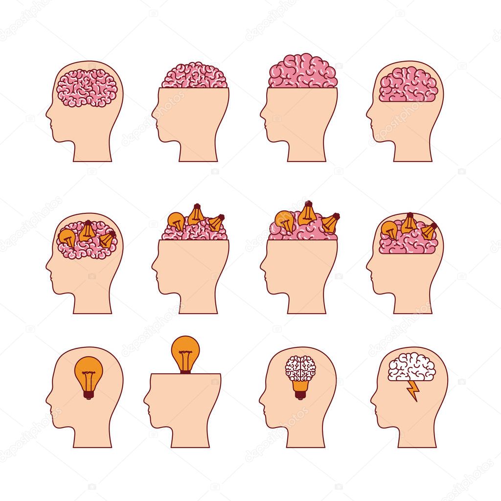 set of heads with brains in white background