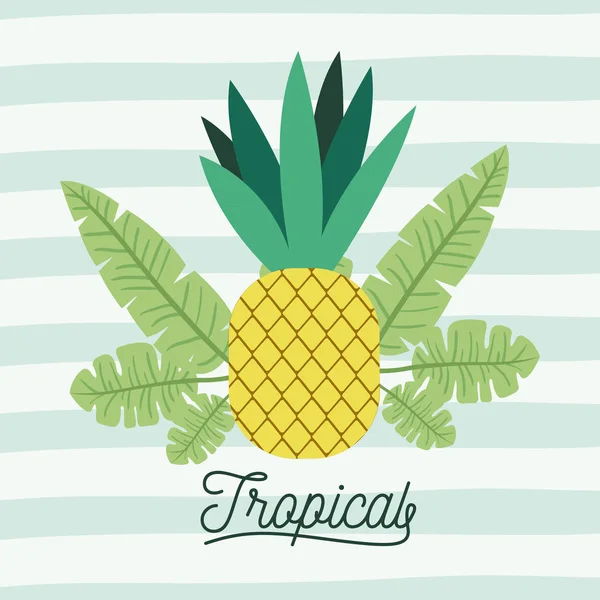 带叶子的菠萝热带水果装饰线条颜色背景 — 图库矢量图片